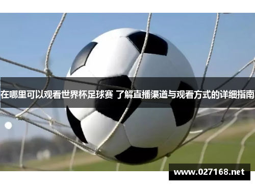 在哪里可以观看世界杯足球赛 了解直播渠道与观看方式的详细指南 在哪里可以观看世界杯足球赛 了解直播渠道与观看方式的详细指南