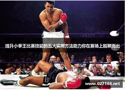 提升小拳王比赛技能的五大实用方法助力你在赛场上脱颖而出