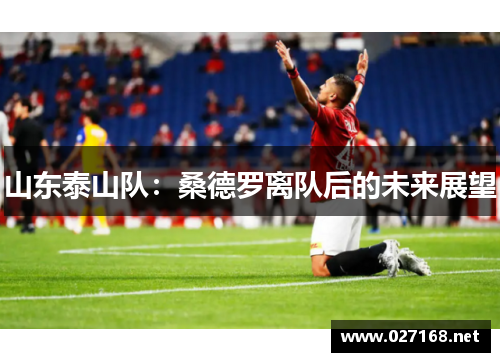 山东泰山队：桑德罗离队后的未来展望