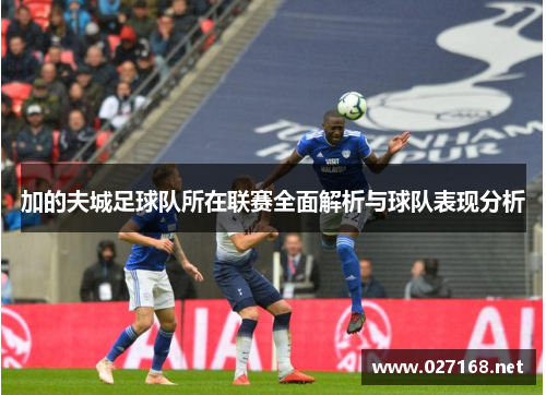加的夫城足球队所在联赛全面解析与球队表现分析