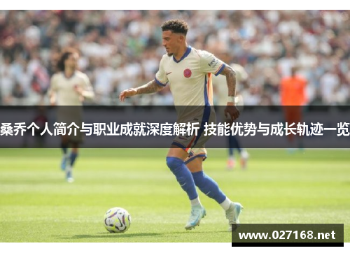 桑乔个人简介与职业成就深度解析 技能优势与成长轨迹一览